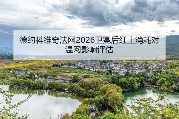 de-yue-ke-wei-qi-fa-wang-wei-mian-hou-hong-tu-xiao-hao-dui-wen-wang-ying-xiang-ping-gu-2-374.jpg